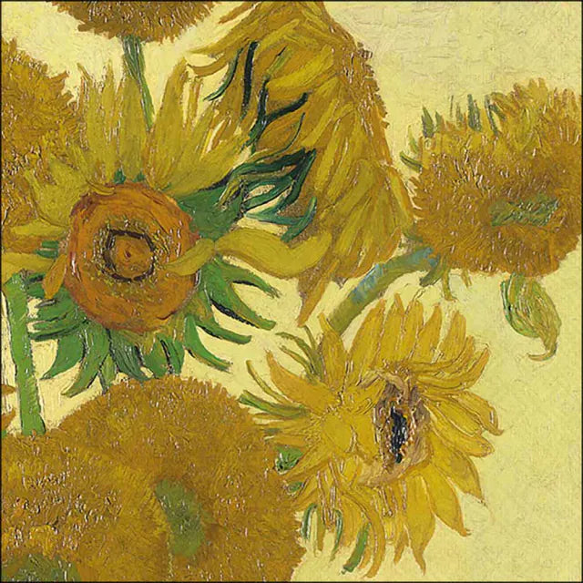 13311800_3cf1 - G home casa