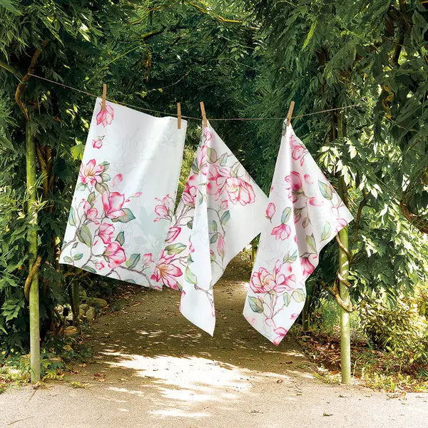 Accessori Cucina Colorclub Magnolia