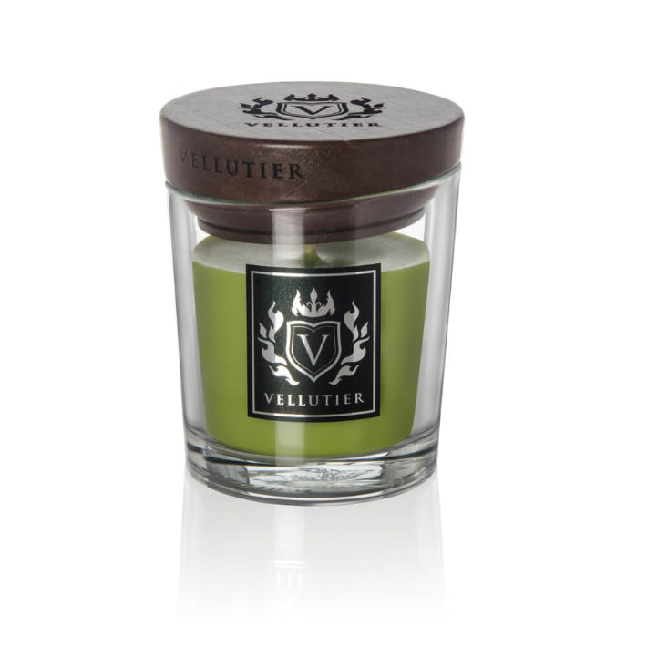 Candela Profumata Vellutier Ancient Oakwoods