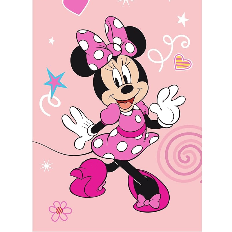 Plaid_soft_Minnie_Mouse - G home casa
