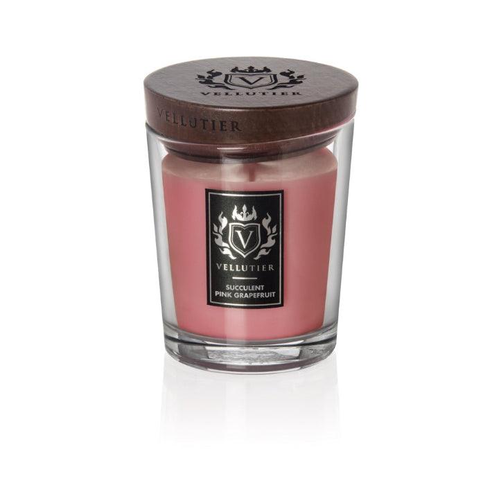 SUCULENT-PINK-GRAPEFRUIT-MC - G home casa