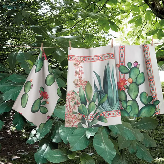 Accessori Cucina Colorclub Frida