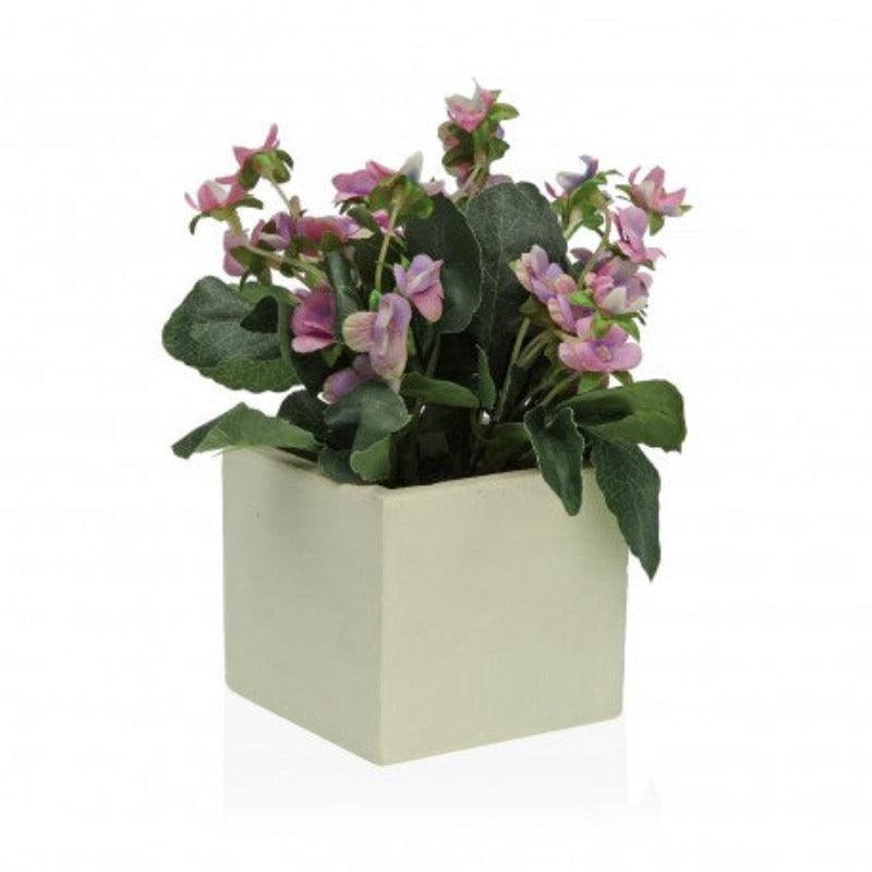 pianta_con_vaso_4 - G home casa