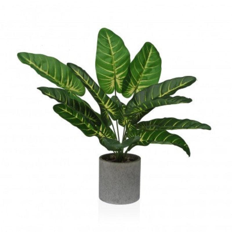 pianta_in_pot_di_carta_mache_1 - G home casa