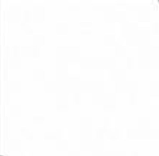 Maglia Uomo Collo V Bio Cotton 604288