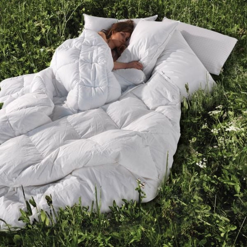 Guanciale Noctis Kapok