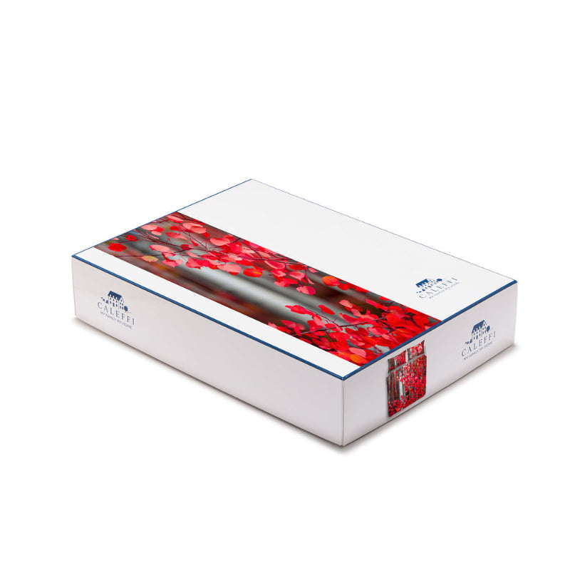 Parure Copripiumino Matrimoniale Sogni di Viaggio