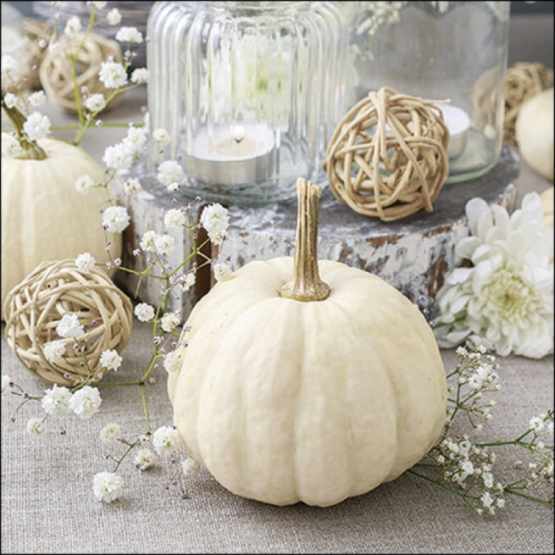 Tovaglioli Modern Pumpkin