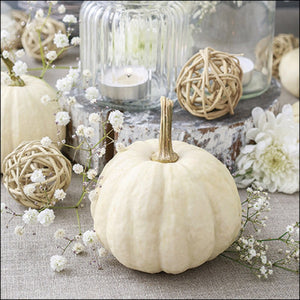 Tovaglioli Modern Pumpkin