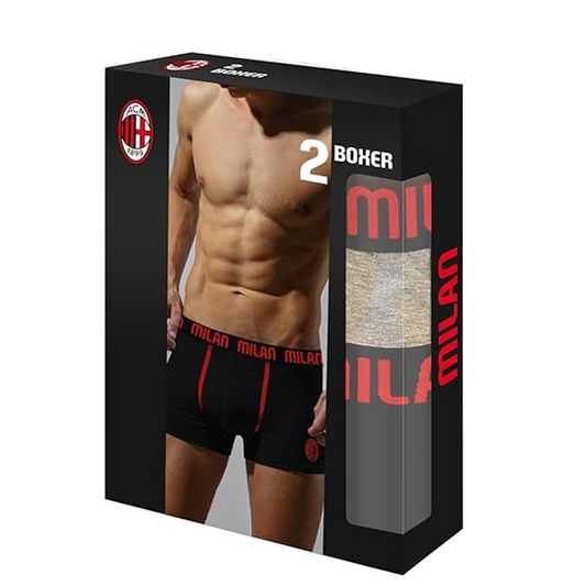 Boxer Milan