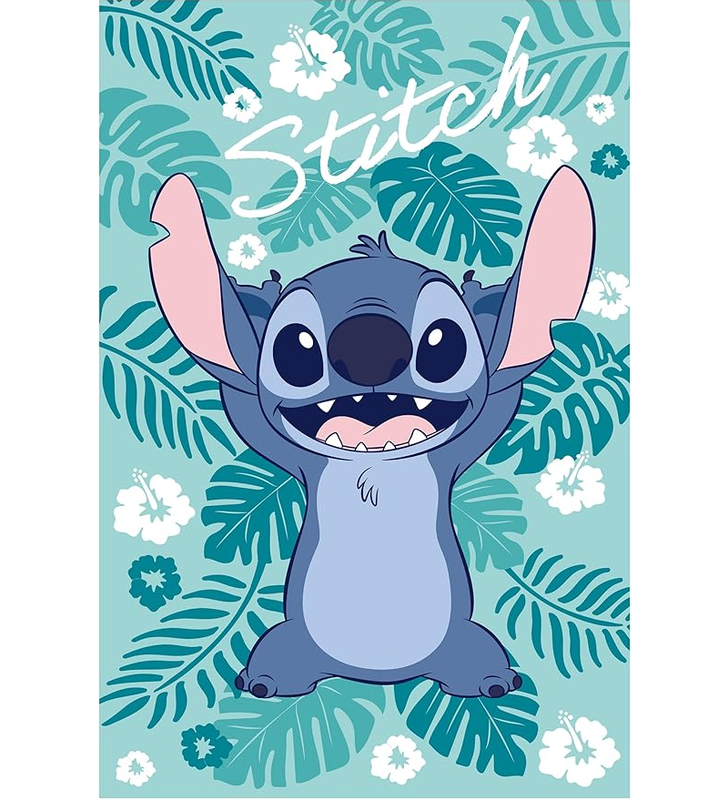 Plaid Soft Touch Cartoon