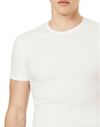 Maglia Uomo Girocollo Caldo Cotone Organico Bio Cotton 604477
